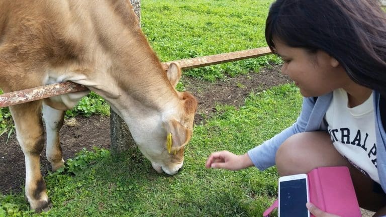 Mother Farm in Chiba