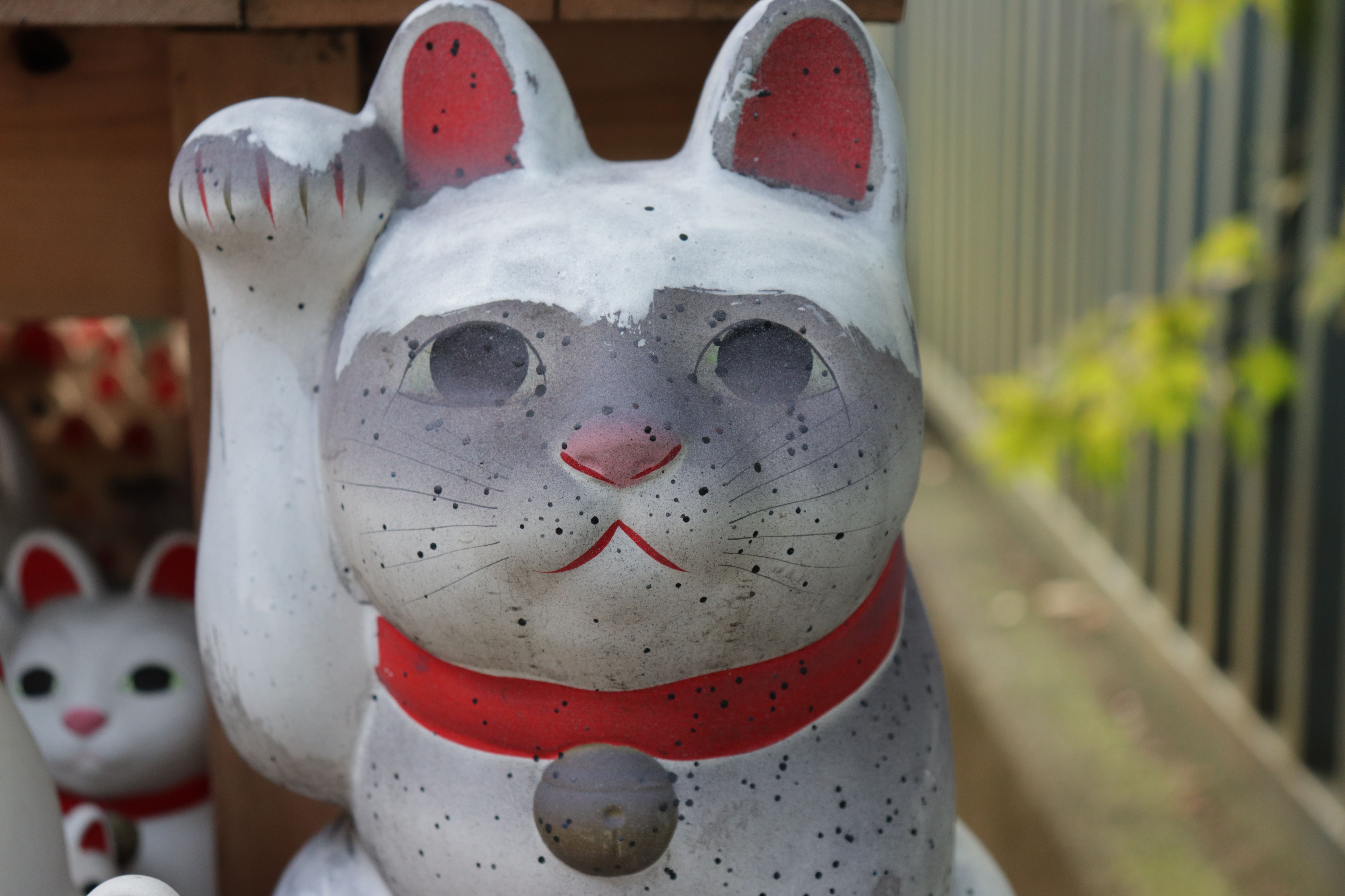 maneki neko gotokuji