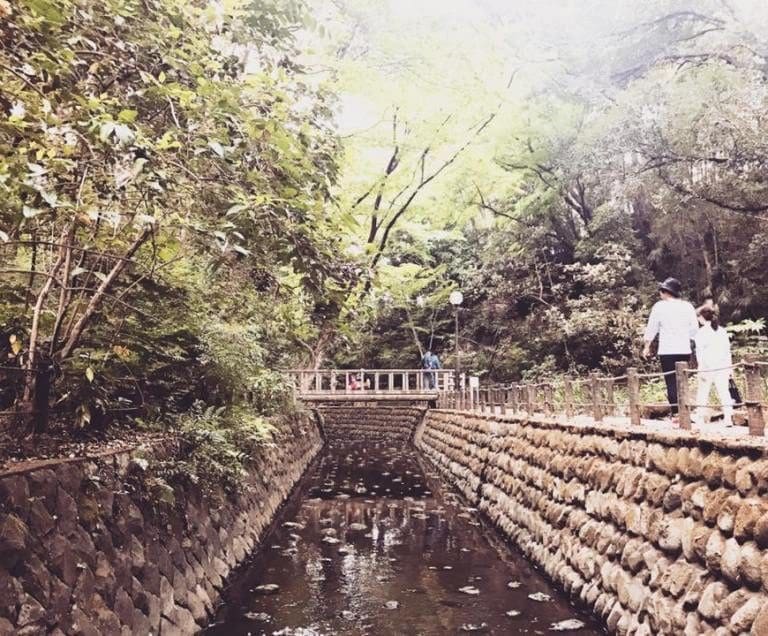 Tokyo Day Trip: Afternoon Stroll at Todoroki Valley