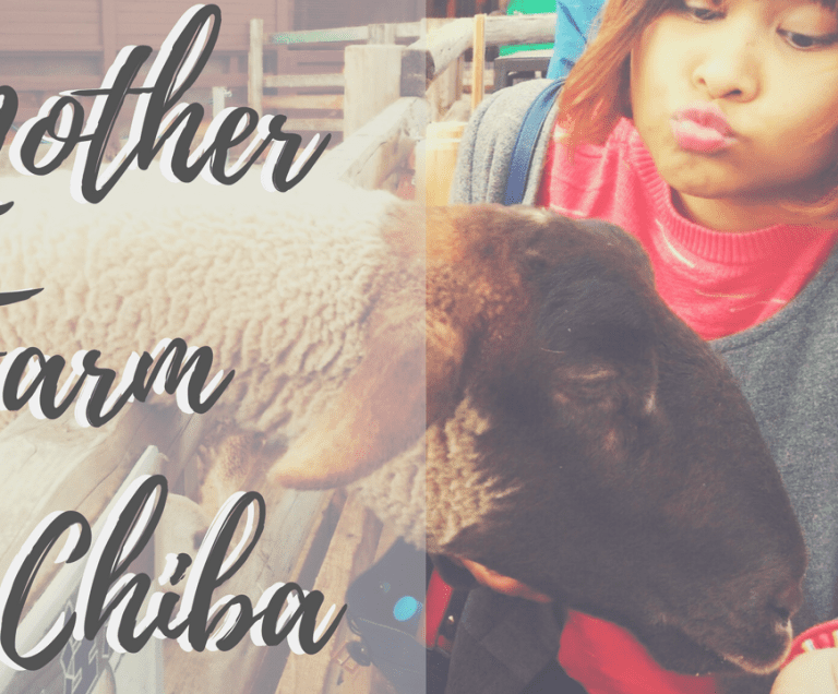 Have Fun with Farm Animals! Visit Mother Farm in Chiba.