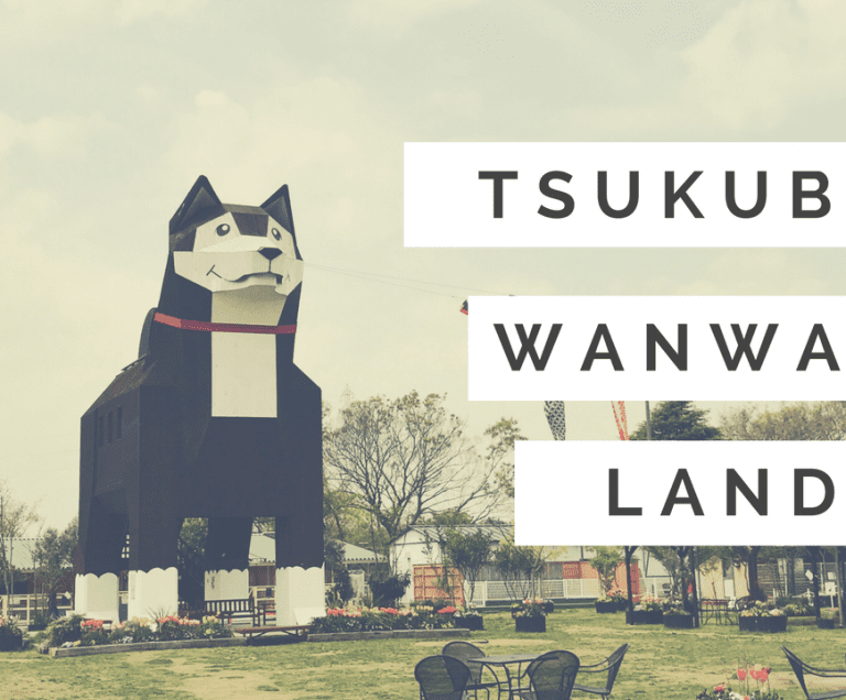 Tsukuba Wanwan Land: A Chance to Pet 500 Dogs and Cats!