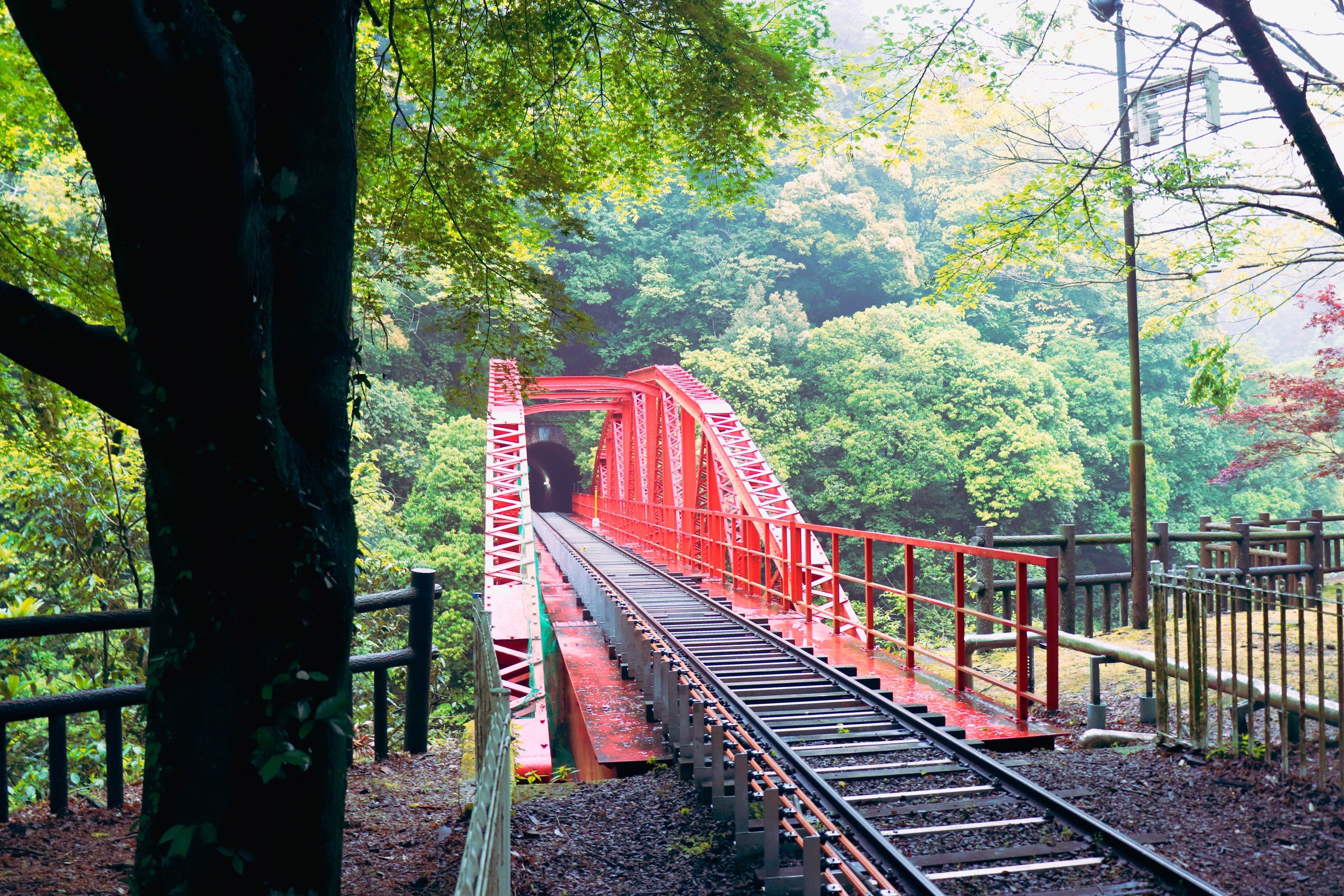 Train ride at Minetopia Besshi