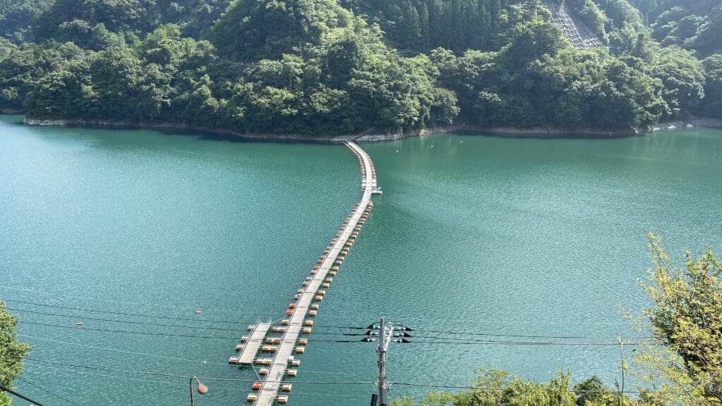 View of Mugiyama Floating Bridge from an elevated slope.