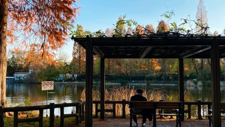 Iniokashira Park in Autumn