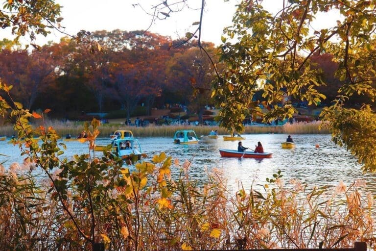 Showa Kinen Park in fall