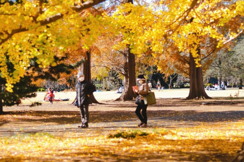 Shinjuku Gyoen in Fall