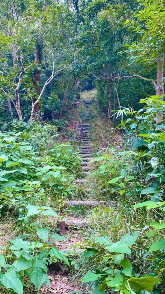 Komayama Hiking Trail - Log Stairs