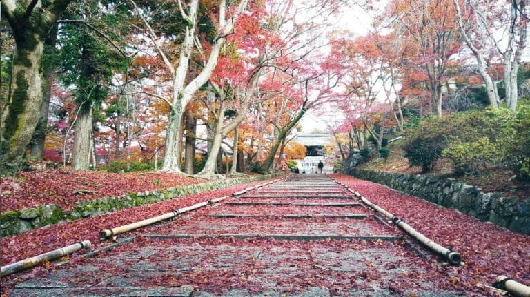 Bishamondo in fall