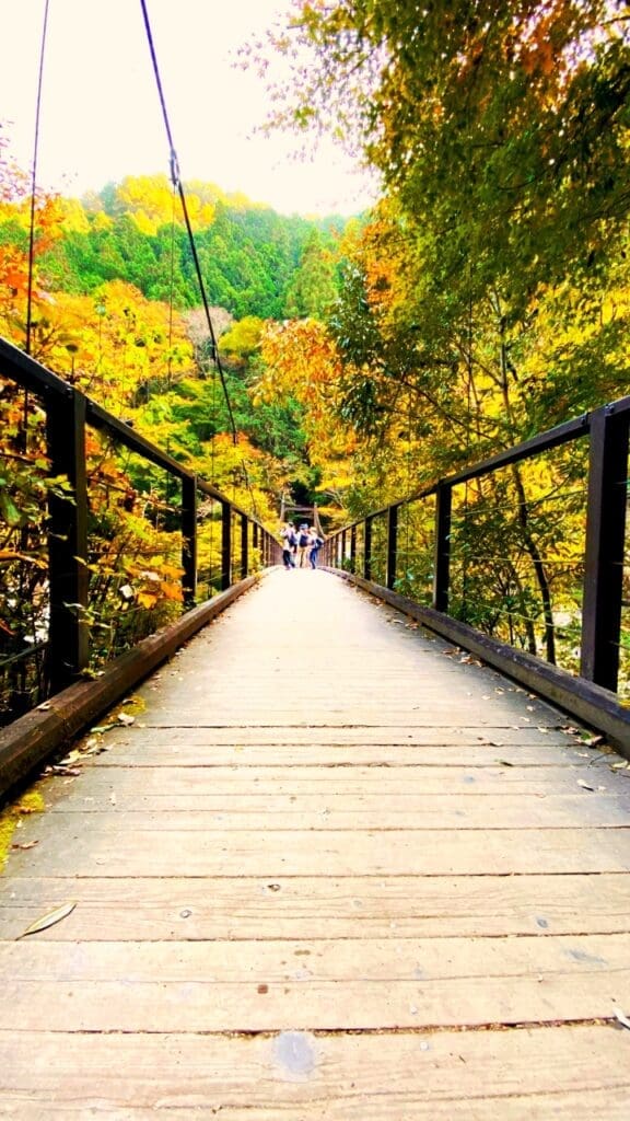 Hatonosu Valley Suspension Bridge