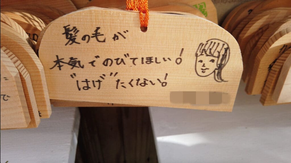 Kyoto hair shrine Mikami Shrine prayer plaque - "I really want my hair to grow. I don't wanna go bald!"