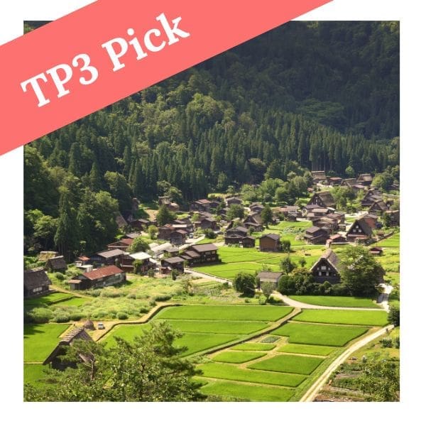 2D1N Shirakawago Tour from Osaka