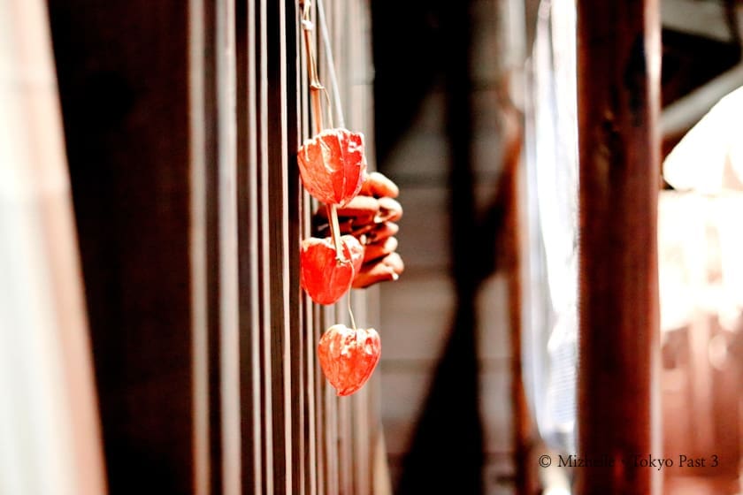 Fake dried perssimons hanging from the windows