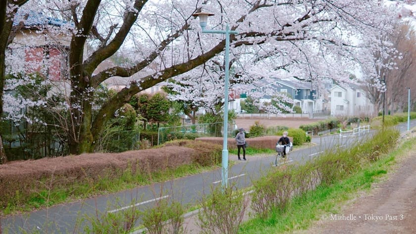 A pedestrian and a cycler on the Tamako Bike Path