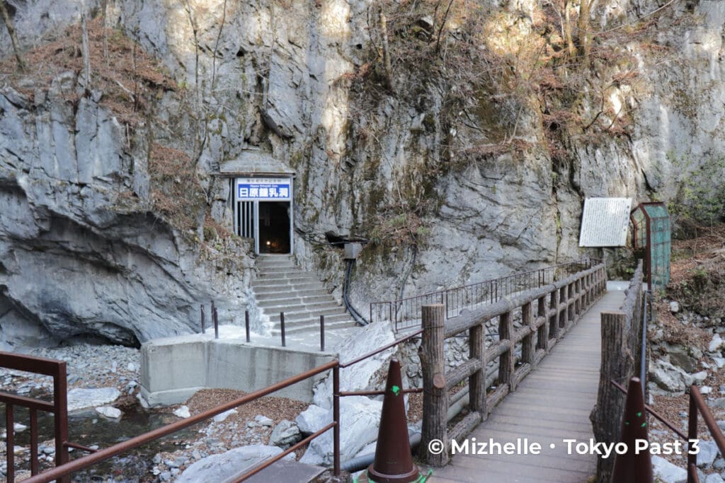 Entrance to the Nippara Limestone Cave