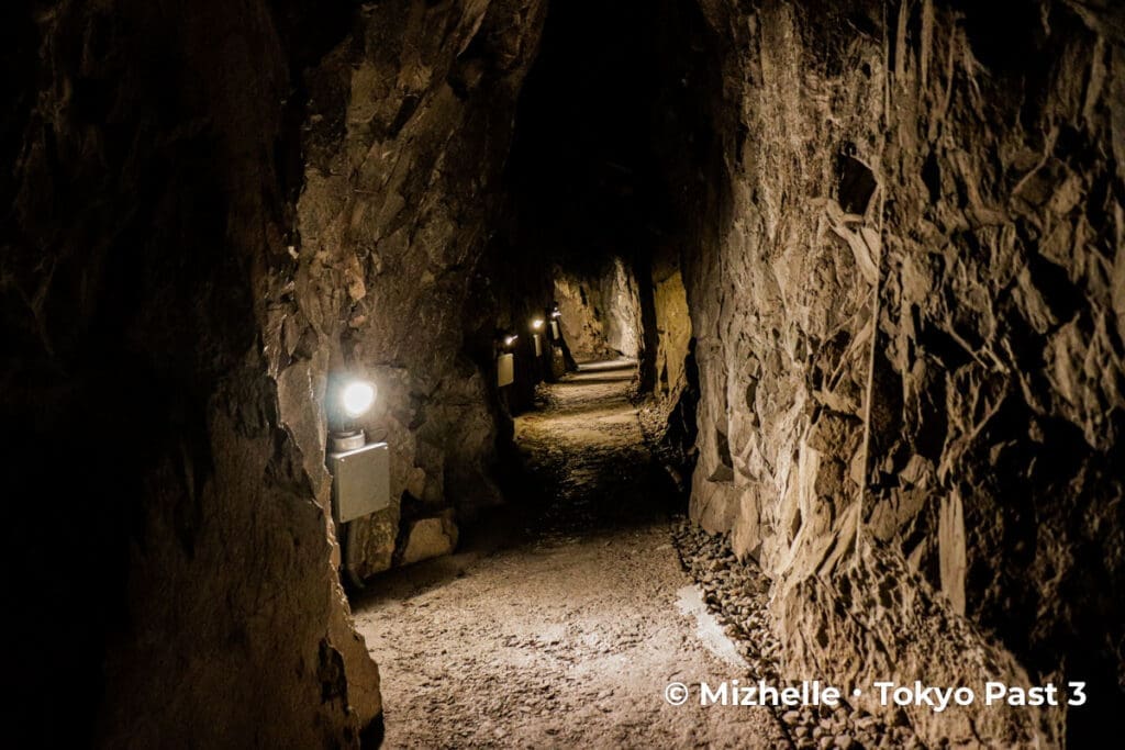 Narrow pathways of Nippara Limestone Cave