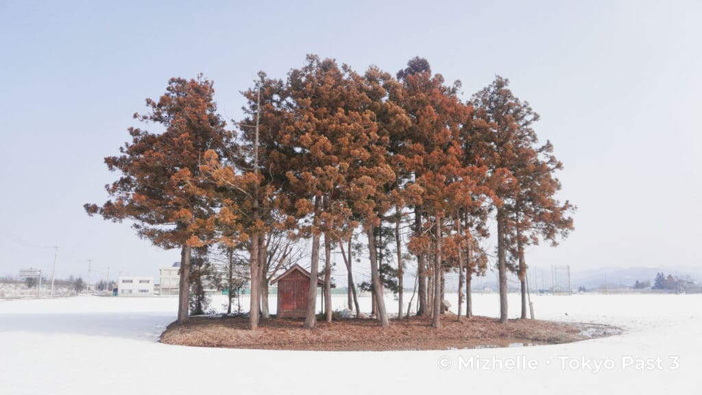 Yamagata deep in the snow