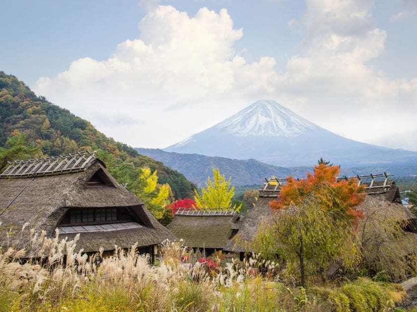 Saito Iyashi no Nenba