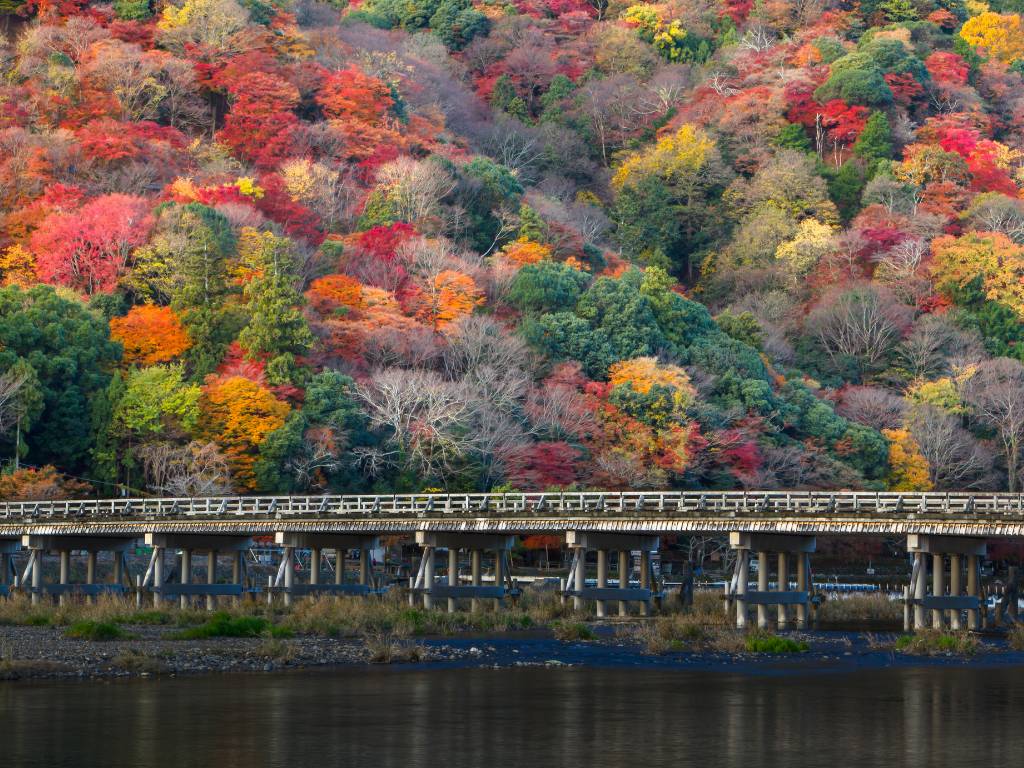 Arashiyama fall foliage