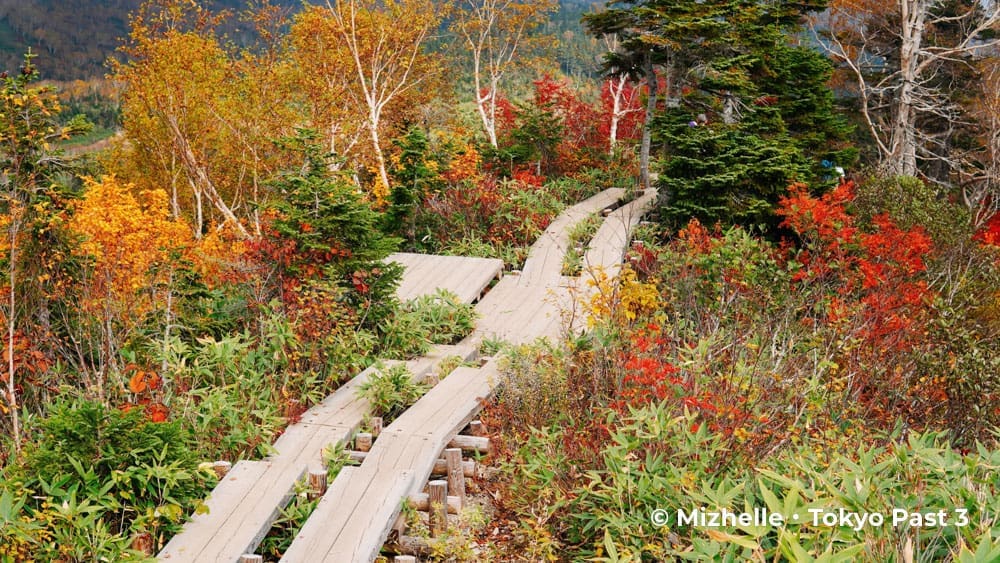 Tsugaike Nature Park Trail-1