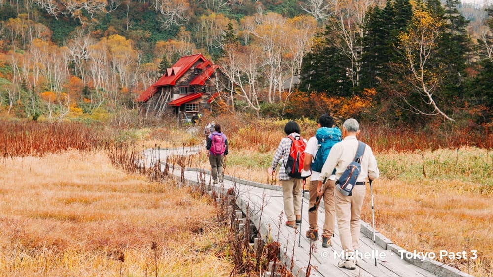 Tsugaike Nature Park Trail & Hutte