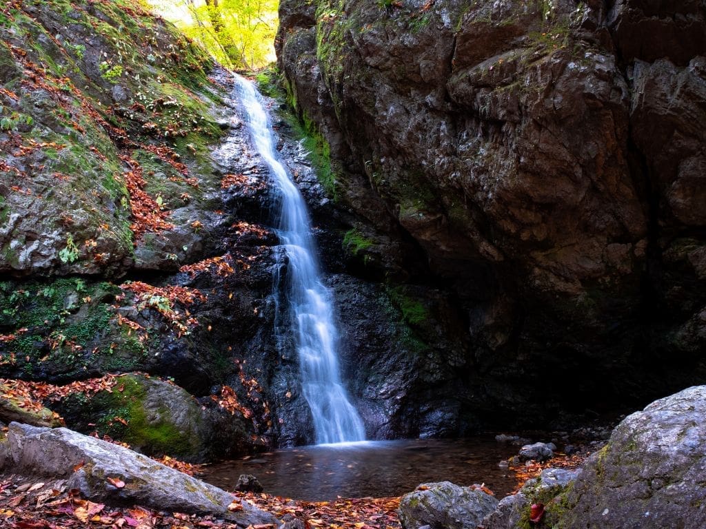 Autumn at Ayahiro Falls in the forest of Mt. Mitake 