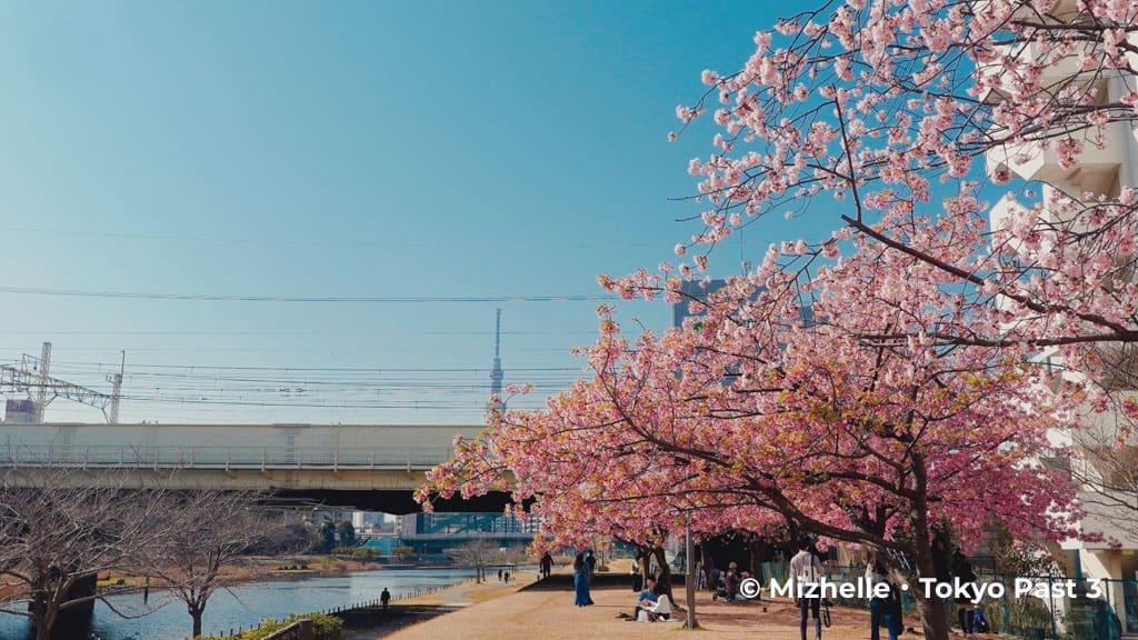 Tokyo Sytree view from Kyunaka River