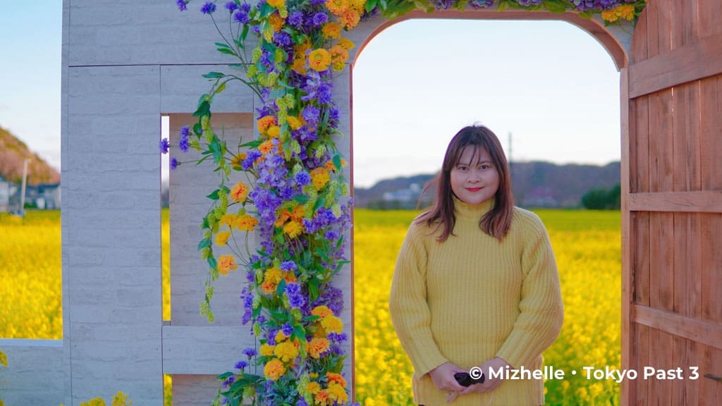 A photo spot at Hino Canola Flower Fields