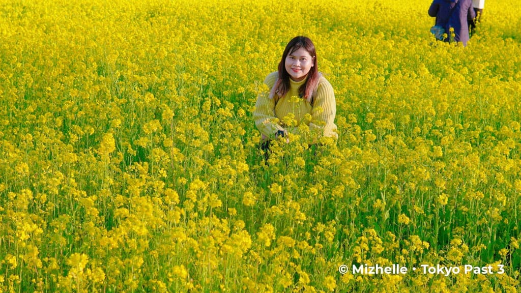 Hino Rapeseed field of Cheerful Farmers