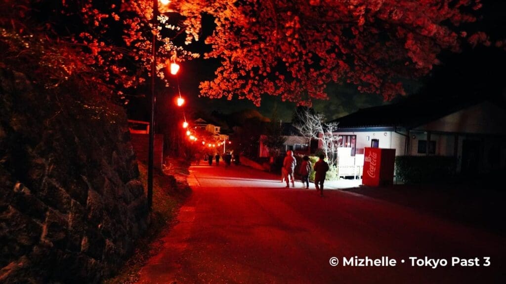 Path to Miharu Takizakura