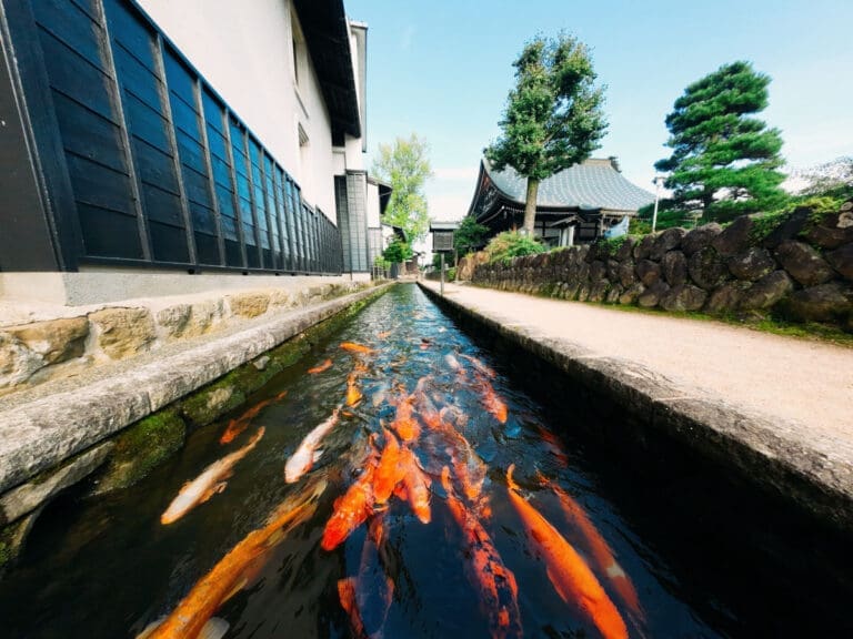 Seto Koi Canal in Hida Furukawa