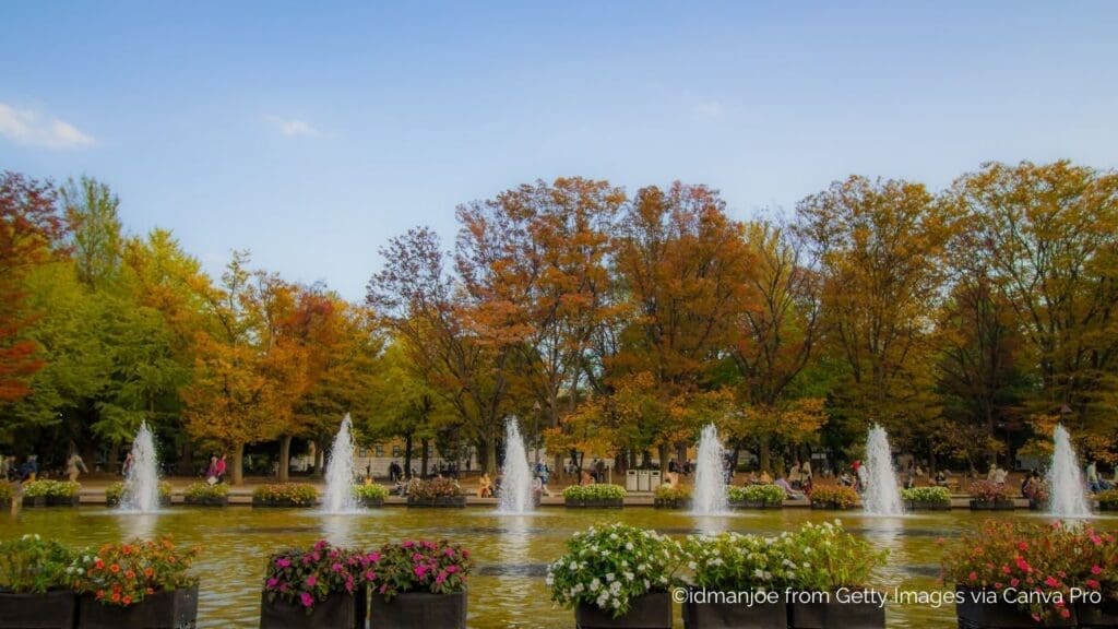 Ueno Park Autumn Colors