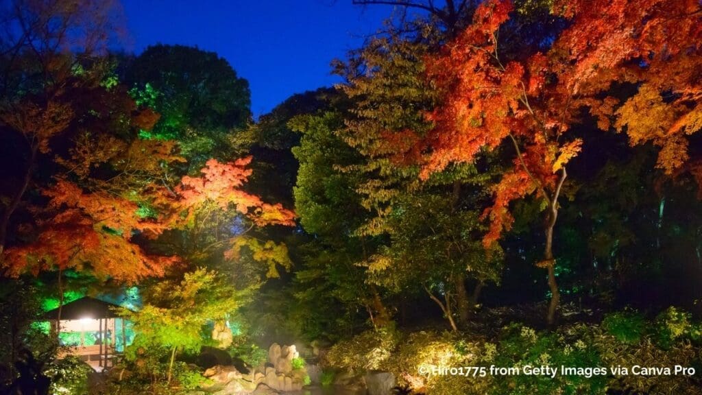 Autumn Illumination at Rikugien