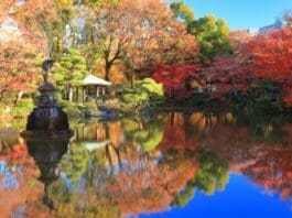 Hibiya Park in Autumn - Pixta88220111