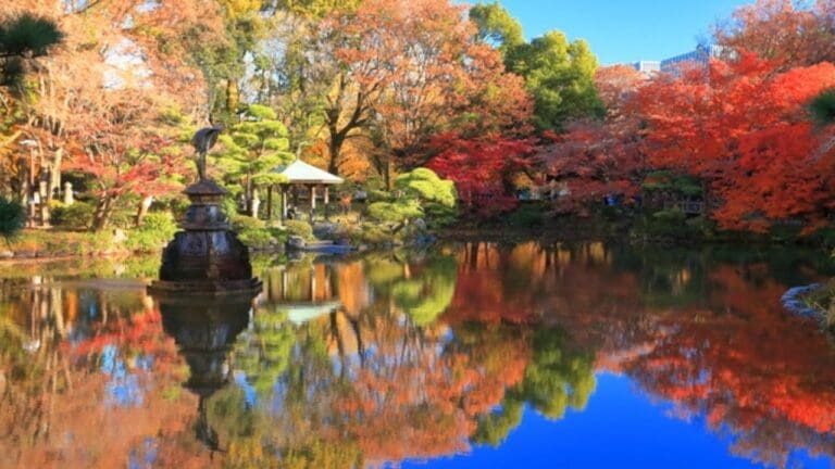 Hibiya Park in Autumn - Pixta88220111