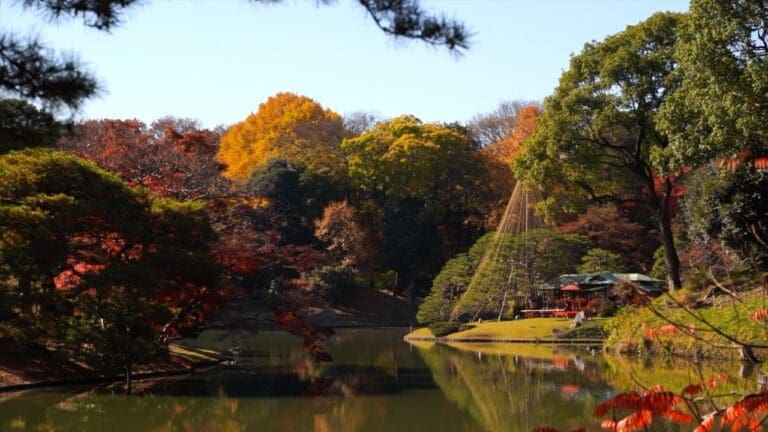 Rikugien Autumn Foliage