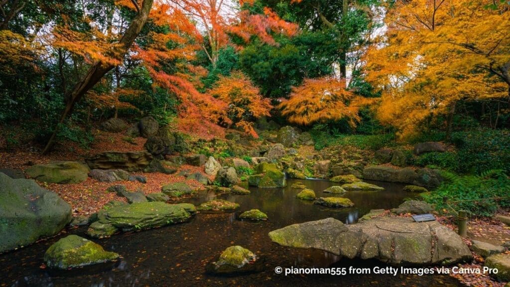 Rikugien in Autumn